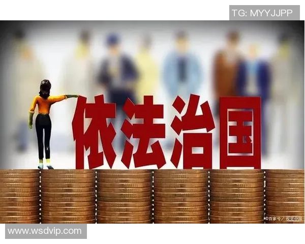 公司在足球领域的责任与义务探讨及其对社会的影响分析