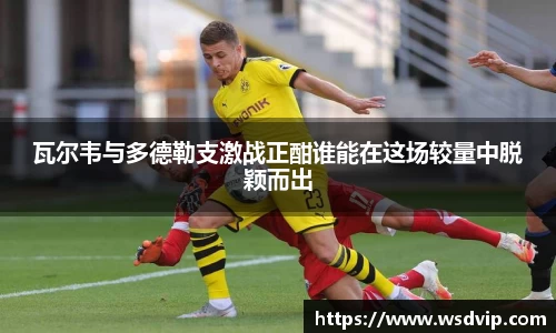 zoty中欧体育