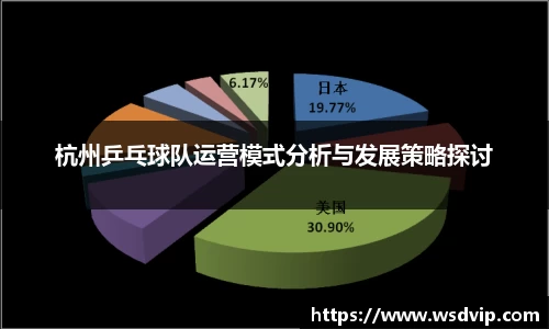 杭州乒乓球队运营模式分析与发展策略探讨